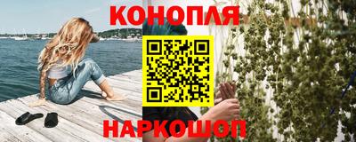 эйфоретик Кингисепп