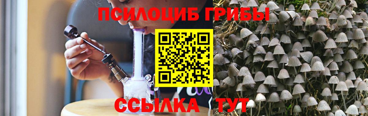 Галлюциногенные грибы ЛСД  Вход с VPN  Клин  Галлюциногенные грибы Psilocybine cubensis 